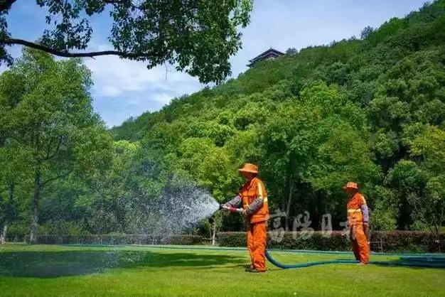 綠化養(yǎng)護14